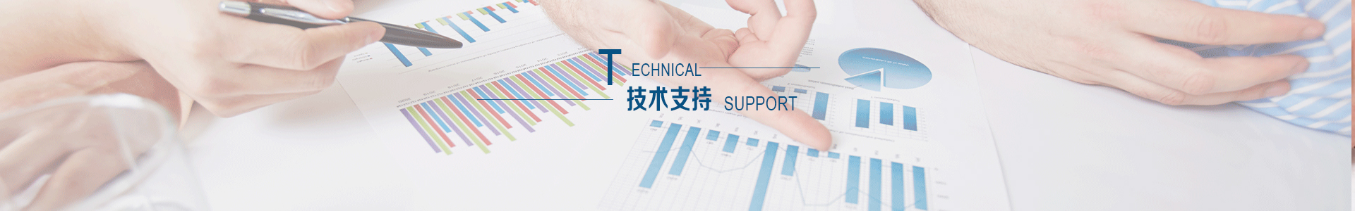 拉斯维加斯网站的技术支持
